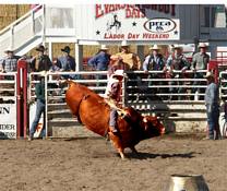 evanston cowboy days.jpg